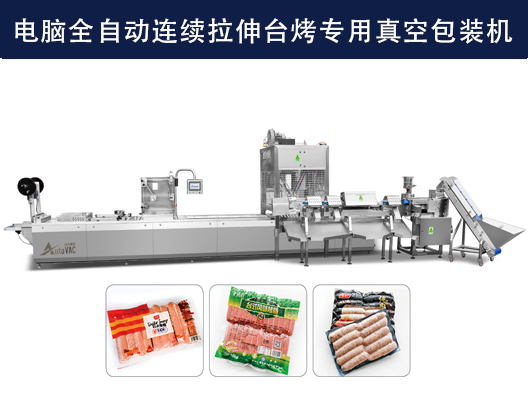 DLZ-520/620電腦全自動連續(xù)拉伸臺烤專用真空包裝機